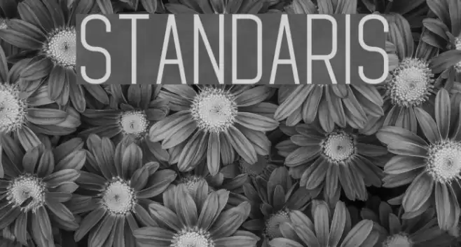 Standaris Font examples