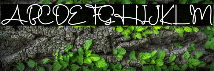 Standing Classy - Personal Use Example 1