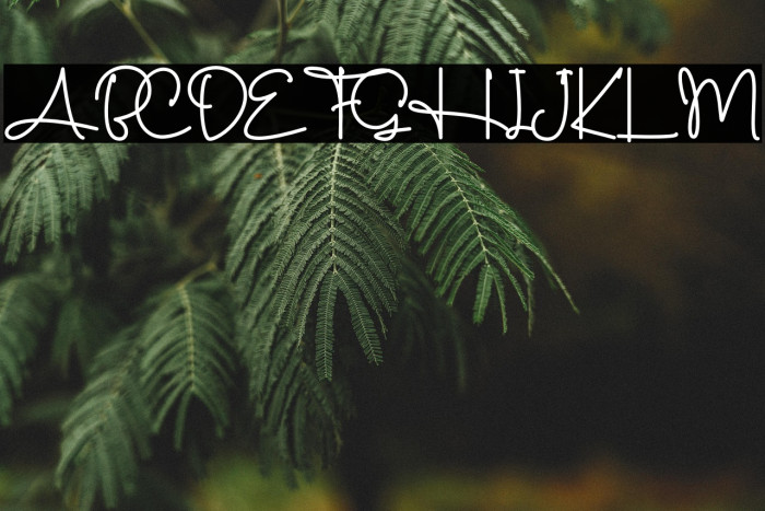 Standing Classy - Personal Use Example 2