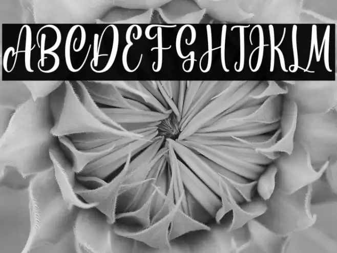 Standing Miracle Personal Use Font examples