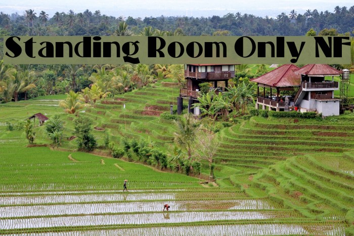 Standing Room Only NF Font examples