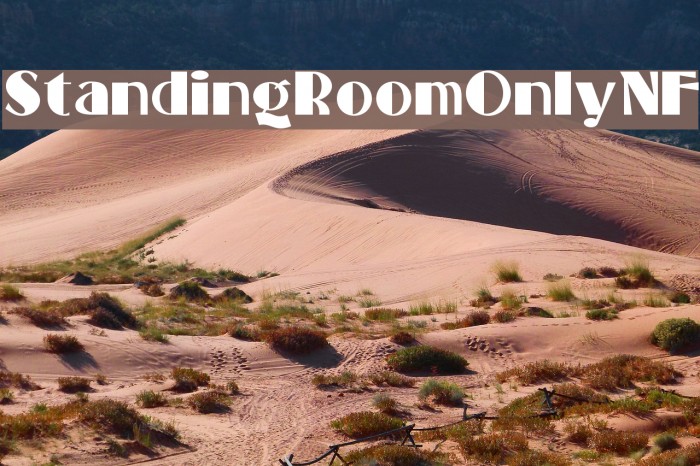 StandingRoomOnlyNF Font examples