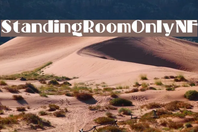 StandingRoomOnlyNF Example 2
