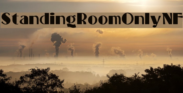 StandingRoomOnlyNF Font examples