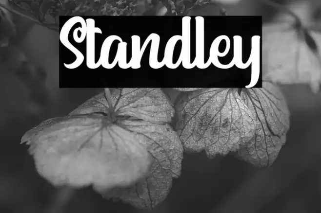 Standley Font examples