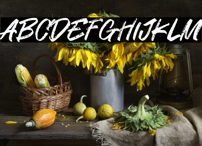 Standom 字体 examples