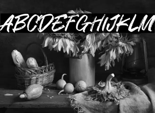 Standom Font examples