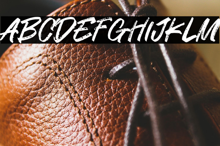 Standom 字体 examples