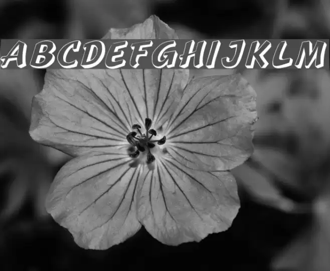 Standout Regular Font examples