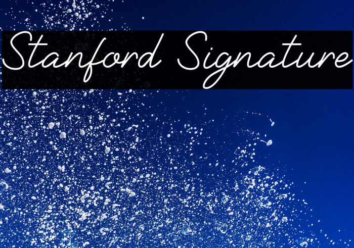 Stanford Signature Example 1