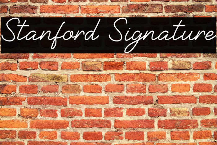 Stanford Signature Example 2