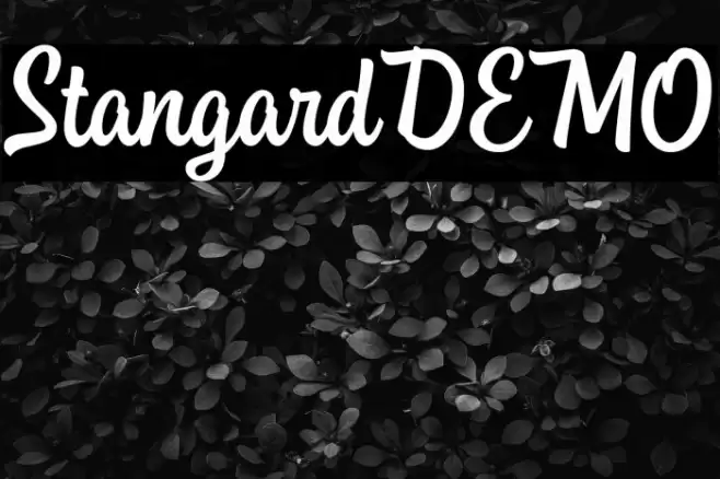 StangardDEMO Font examples
