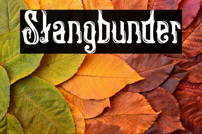 Stangbunder Example 3