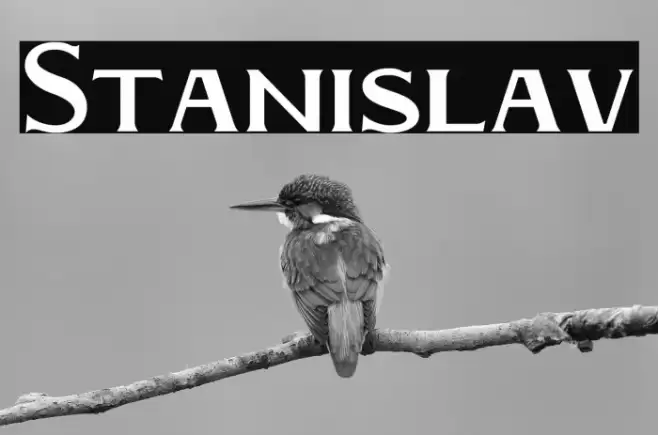 Stanislav Font examples