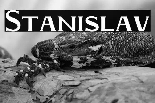 Stanislav Font examples