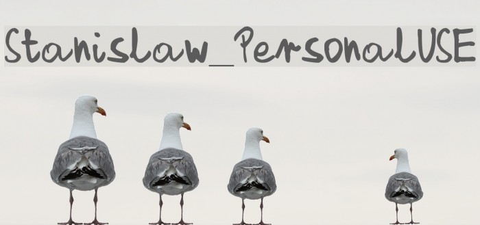 Stanislaw_PersonalUSE Fuentes examples