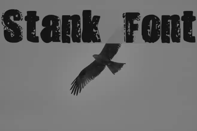 Stank Font examples