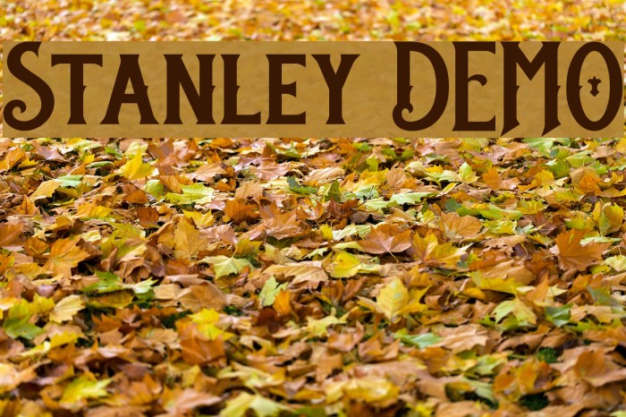 Stanley DEMO Font examples
