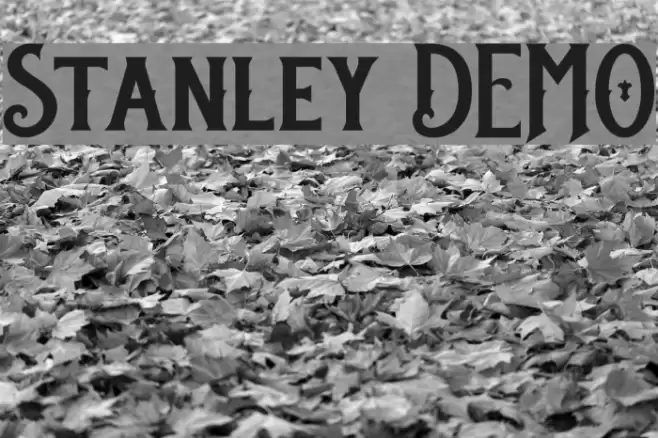 Stanley DEMO Font examples