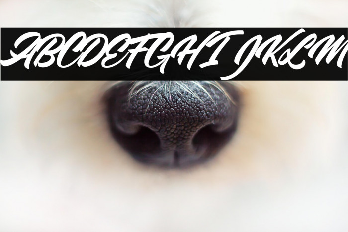 Stanley Personal Use Example 3