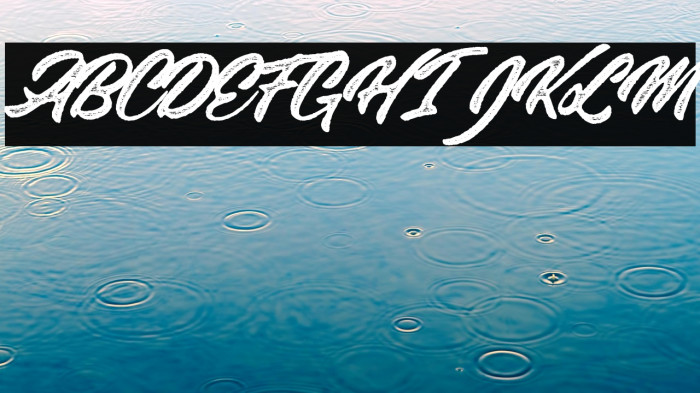 Stanley Roots Personal Use Regular Example 2