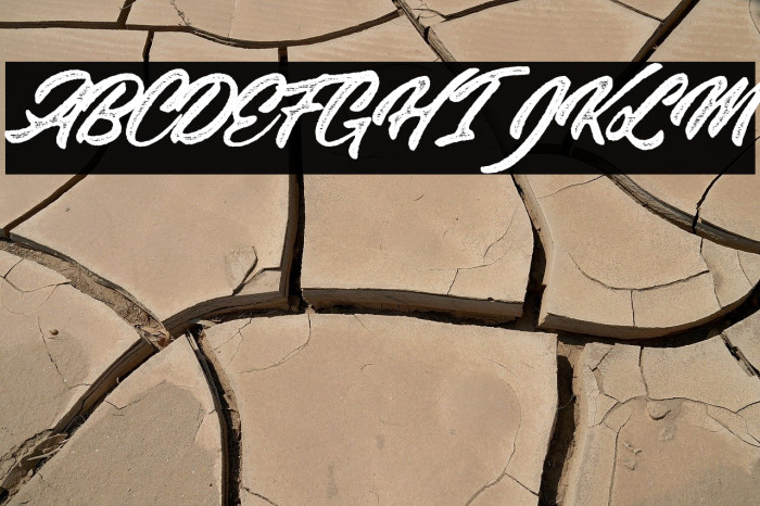 Stanley Roots Personal Use Regular Example 3