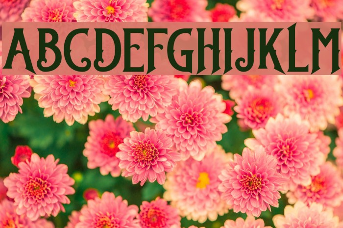 StanleyDEMO Example 1