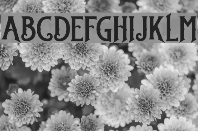 StanleyDEMO Font examples