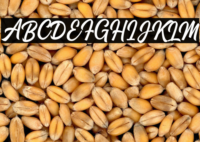 StanleyDemo Example 1