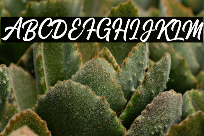 StanleyDemo Example 2