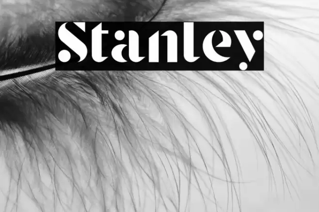 Stanley Font examples