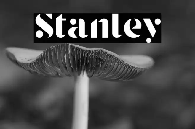 Stanley Font examples