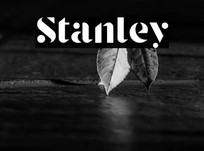Stanley Font examples