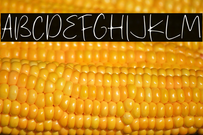 Stanly Wosh Example 2