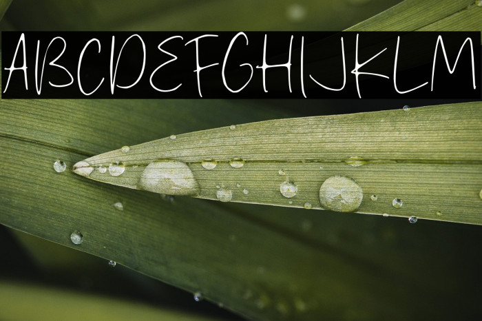 Stanly Wosh Example 3