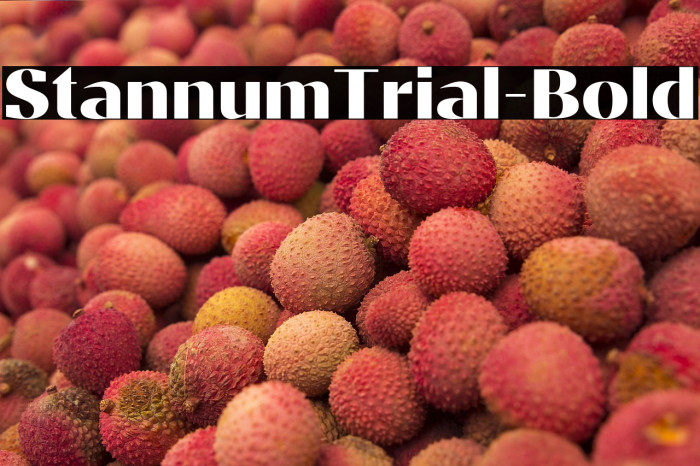 StannumTrial-Bold Example 2
