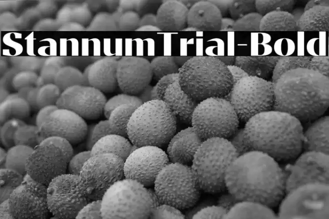 StannumTrial-Bold Font examples