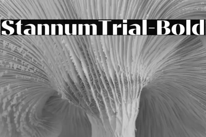 StannumTrial-Bold Font examples