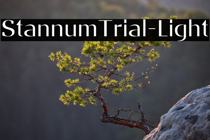 StannumTrial-Light Example 2