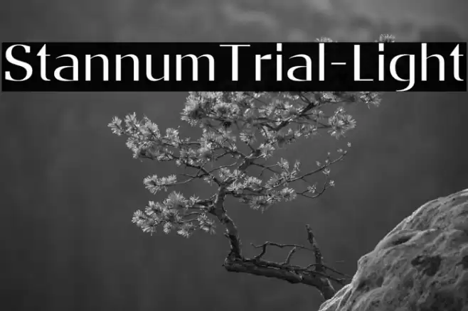 StannumTrial-Light Font examples