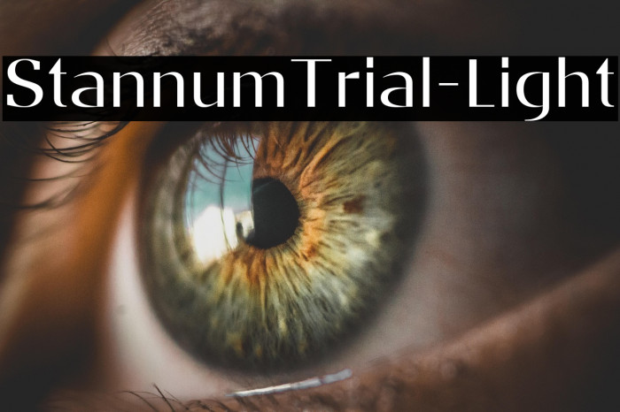 StannumTrial-Light Example 3