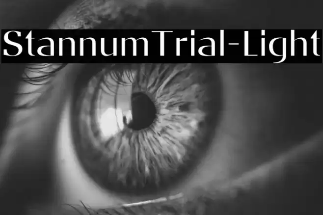StannumTrial-Light Font examples