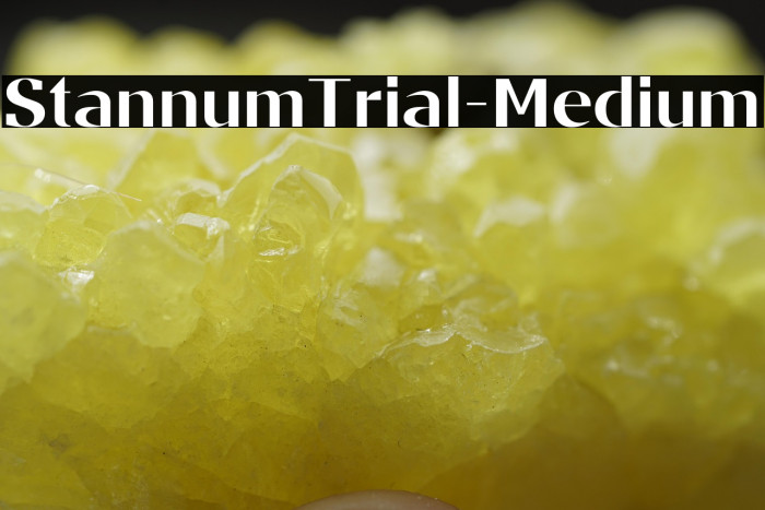 StannumTrial-Medium Example 1