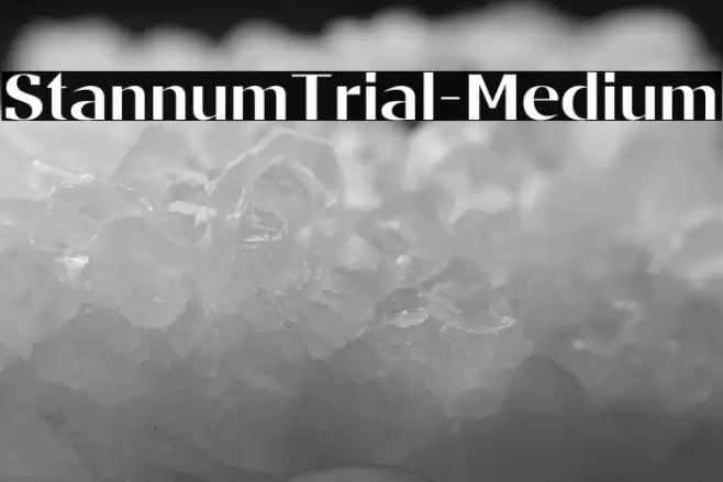 StannumTrial-Medium Font examples