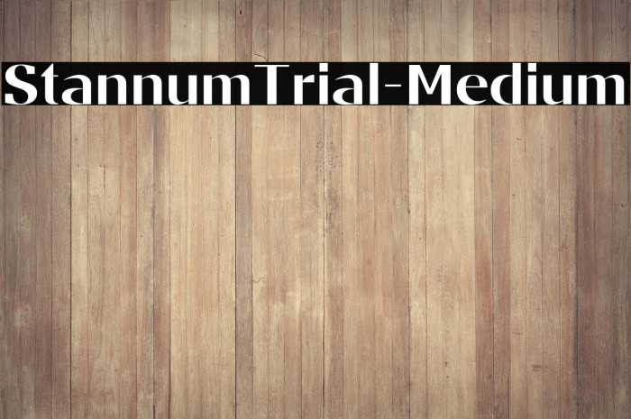 StannumTrial-Medium Example 2