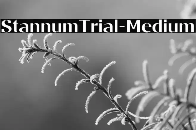StannumTrial-Medium Font examples