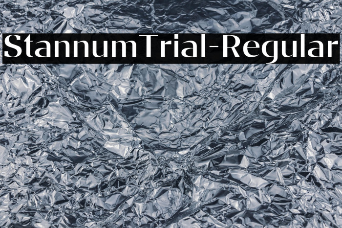 StannumTrial-Regular Example 1