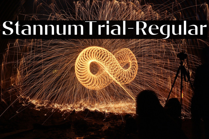 StannumTrial-Regular Example 2