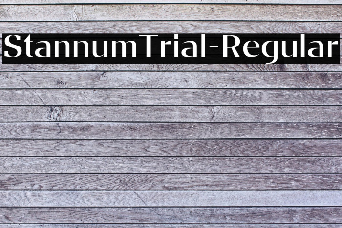 StannumTrial-Regular Example 3