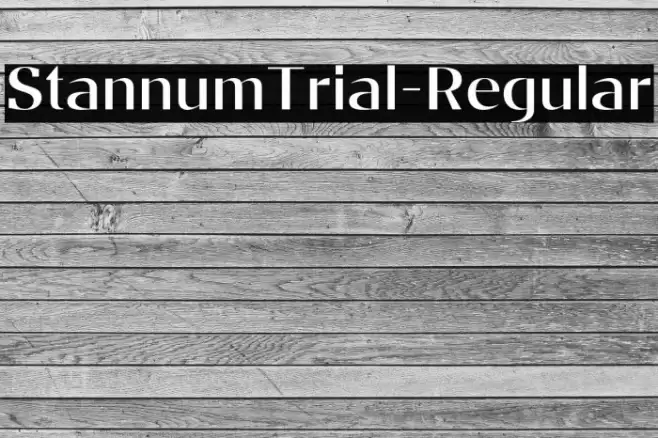 StannumTrial-Regular Font examples